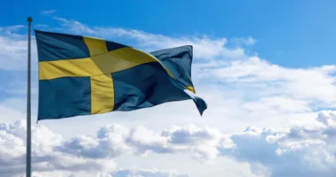 Kurier do Szwecji dla firm - problemy w wysyłkach B2B i sprawdzone rozwiązania Paxy