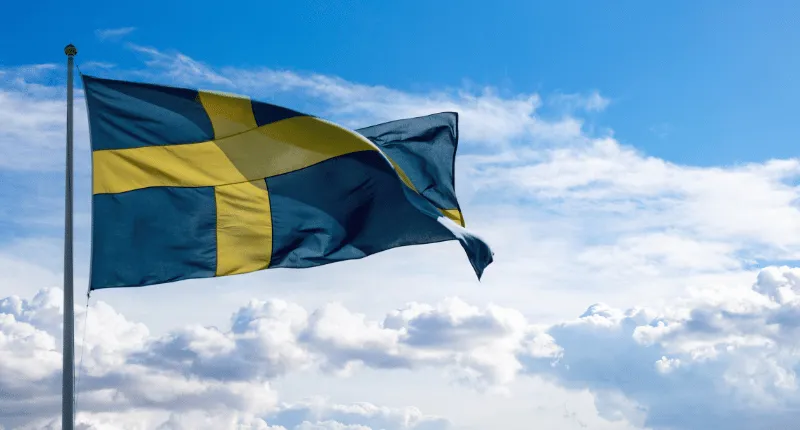 Kurier do Szwecji dla firm - problemy w wysyłkach B2B i sprawdzone rozwiązania Paxy